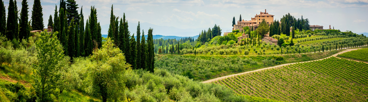 Carte des 57 appellations AOC de Bordeaux — Rive Gauche et Rive Droite